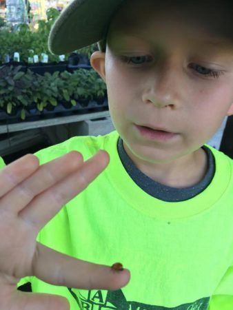 student_holding_lady_bug_on_field_trip-miss_muffets_learning_center-338x450