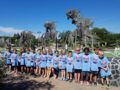 summer_camp_field_trip_to_aquarium_cadence_academy_preschool_wilmington_nc-600x450