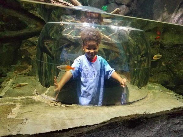 summer_camper_in_aquarium_at_cadence_academy_preschool_flower_mound_tx-600x450