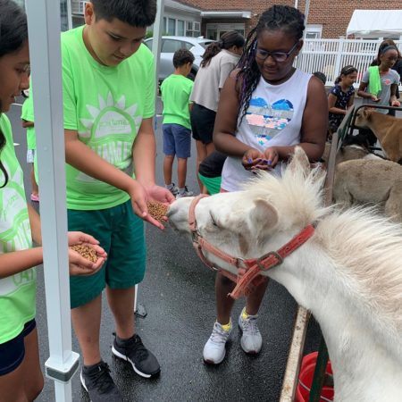 summer_campers_feeding_a_horse_prime_time_early_learning_centers_edgewater_nj-450x450