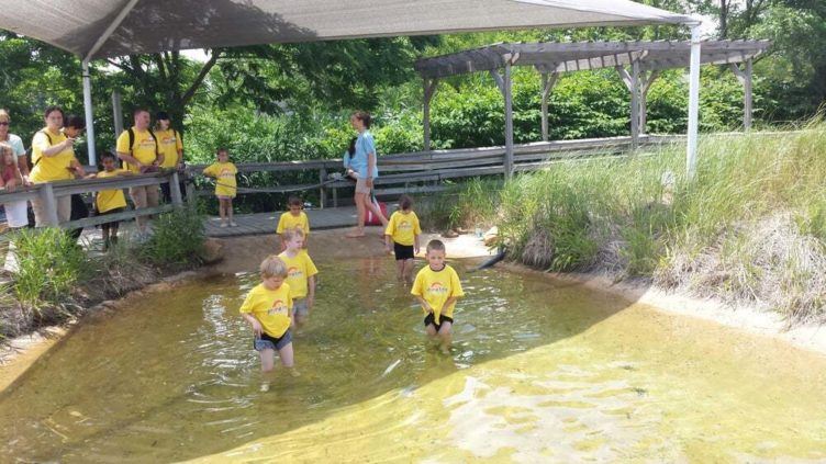 summer_campers_wading_in_water_prime_time_early_learning_centers_farmingdale_ny-752x423