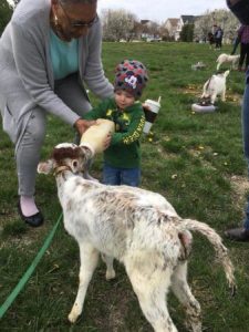 toddler_feeding_calf_cadence_academy_ofallon_mo-338x450