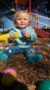 toddler_girl_easter_egg_hunting_at_cadence_academy_preschool_flower_mound_tx-248x450