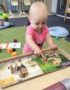 toddler_looking_at_baboon_book_cadence_academy_preschool_gig_harbor_wa-352x450