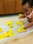 toddler_playing_with_plastic_ducks_rogys_learning_place_hilltop_peoria_il-338x450