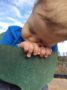 toddler_relaxing_in_swing_at_sunbrook_academy_at_woodstock_ga-336x450