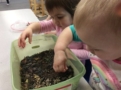 toddlers_playing_with_plastic_bugs_rogys_learning_place_pekin_il-605x450