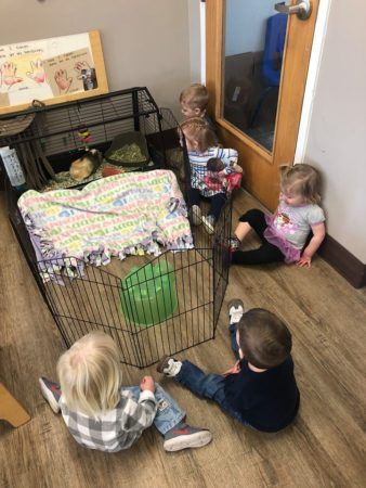 toddlers_watching_rabbit_at_cadence_academy_preschool_broomfield_co-338x450