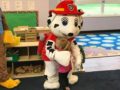 visit_from_paw_patrol_at_cadence_academy_preschool_raynham_ma-600x450