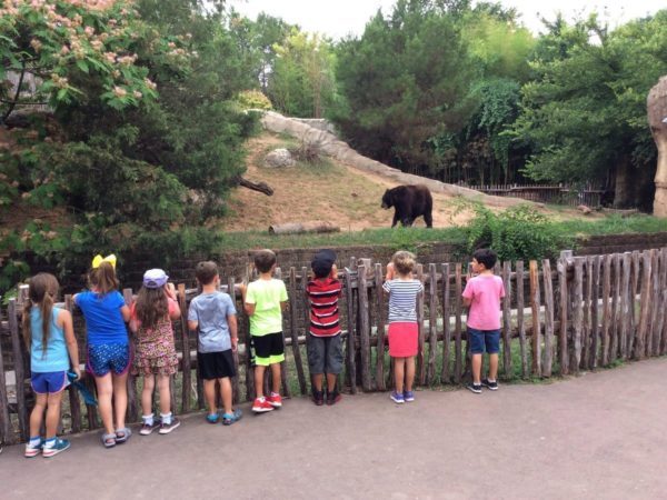 visiting_the_bear_at_the_zoo_the_peanut_gallery_temple_tx-600x450