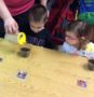 watering_a_seed_cadence_academy_preschool_ashworth_west_des_moines_ia-433x450