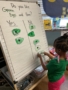 767 rosebud (3)