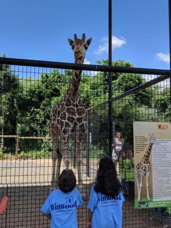 elementary_students_checking_out_giraffe_during_field_trip_winwood_childrens_center_south_riding_va-338x450