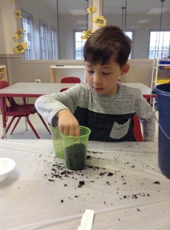 preschool_boy_planting_a_seed_winwood_childrens_center_south_riding_va-333x450