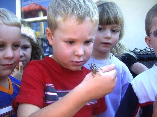 preschoolers_checking_out_bug_winwood_childrens_center_south_riding_va-604x450