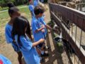 summer_camp_field_trip_to_petting_zoo_winwood_childrens_center_south_riding_va-600x450