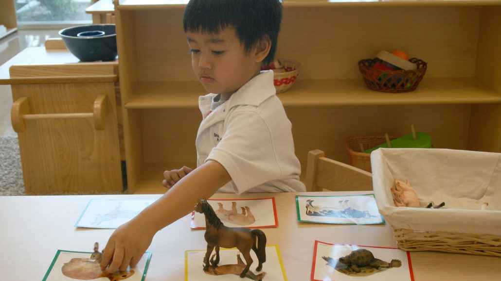 Montessori-Program_27