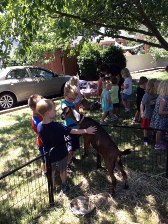 children petting animals at fort thomas