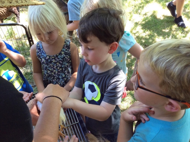children petting chick at fort thomas