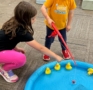 516 hihgland heights ducks
