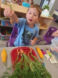 an image of a child holding a carrot