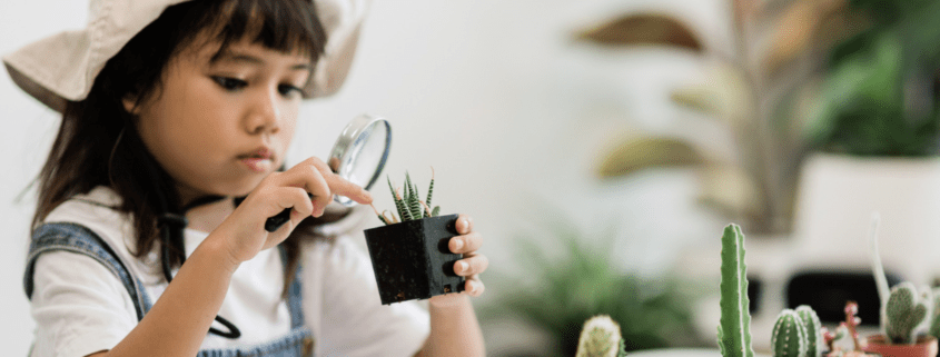 a child looking at a plant