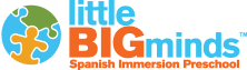 little Big Minds logo