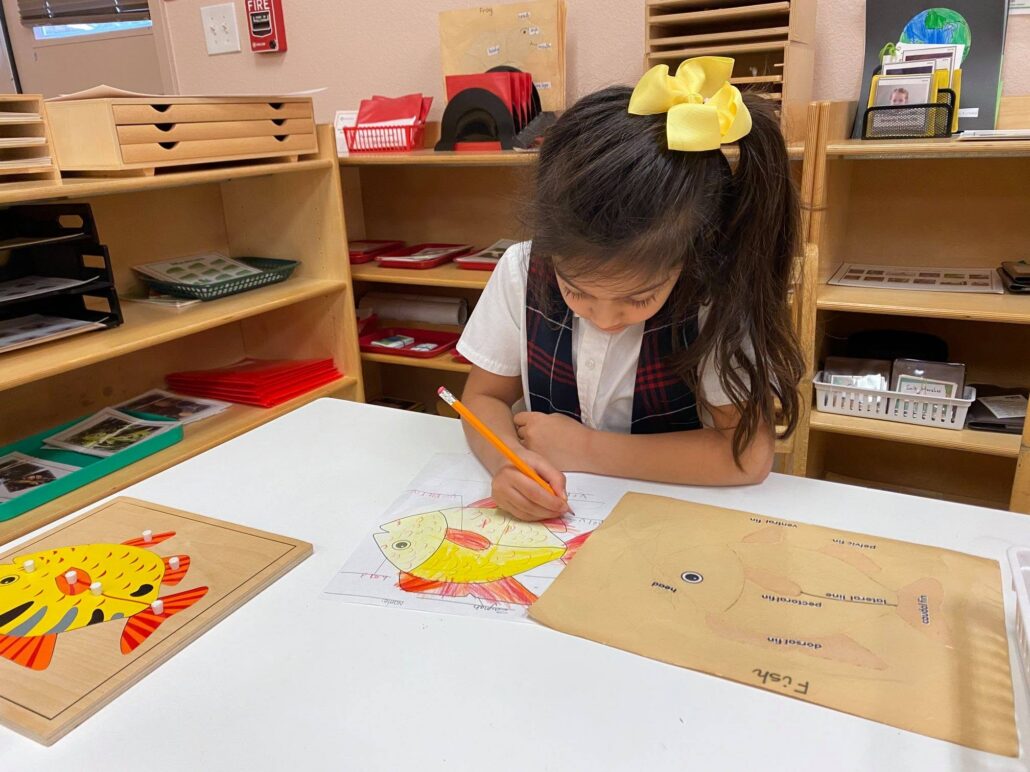 Castle Montessori of McKinney