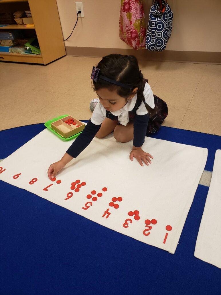 Castle Montessori of McKinney