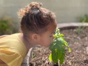 a child smelling a plant outside