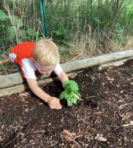 miniapple-international-montessori-school-oakdale-minnesota-hands-on-activities-learning (1)