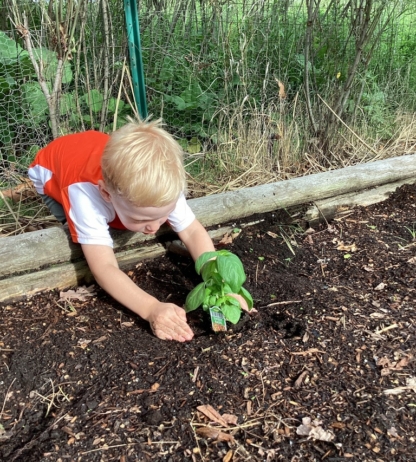 miniapple-international-montessori-school-oakdale-minnesota-hands-on-activities-learning (1)