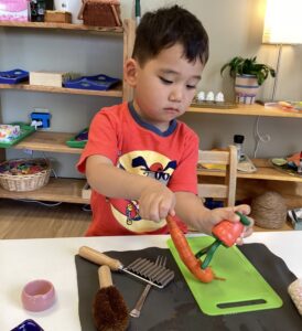 miniapple-international-montessori-school-oakdale-minnesota-hands-on-activities-learning (4)