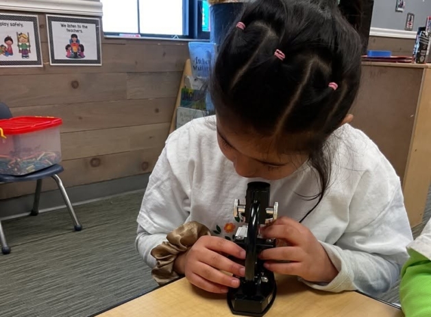Child looking into microscope inside classroom at cadence academy preschool and daycare west 0 510