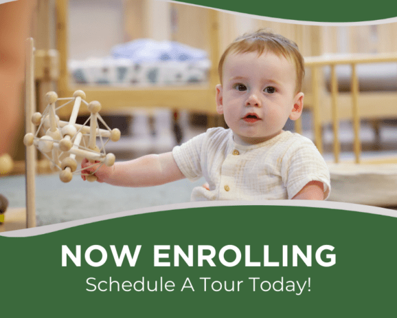 Cadence-Now-Enrolling-Portfolio