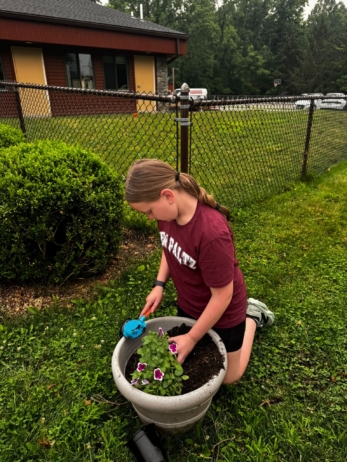 538 hopewell planting