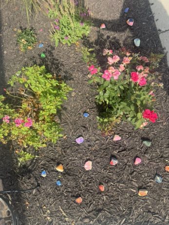 the-professors-learning-center-daycare-preschool-elkhorn-nebraska (11)