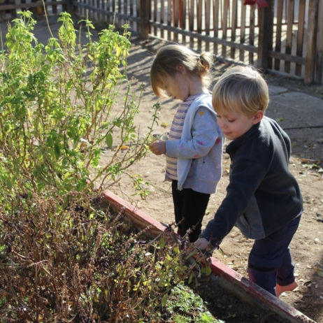 preschool children exploring plants and gardening outdoors at natural choice academy
