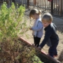 preschool children exploring plants and gardening outdoors at natural choice academy
