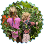 Living with the Land summer camp