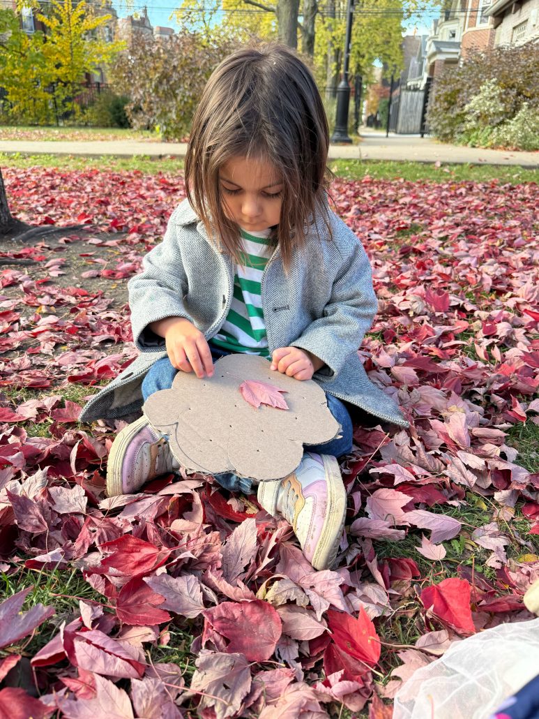 Autumn5