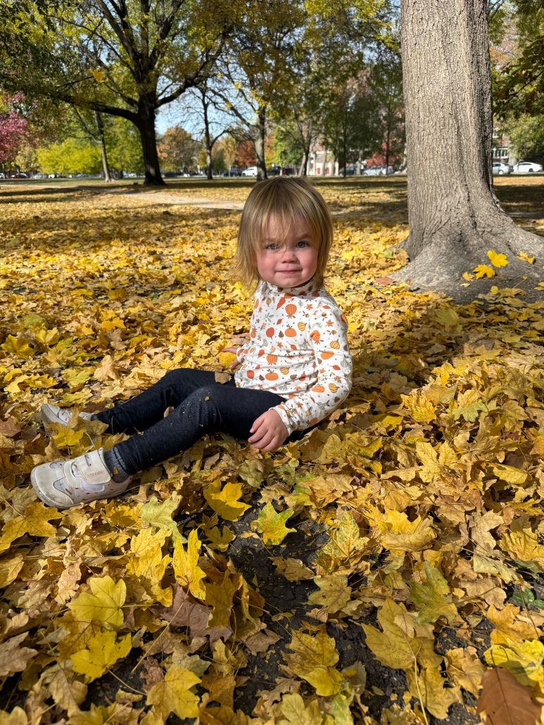 Autumn7