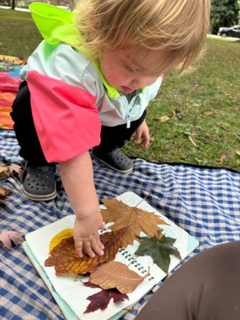 Autumn_Leaf Journel2