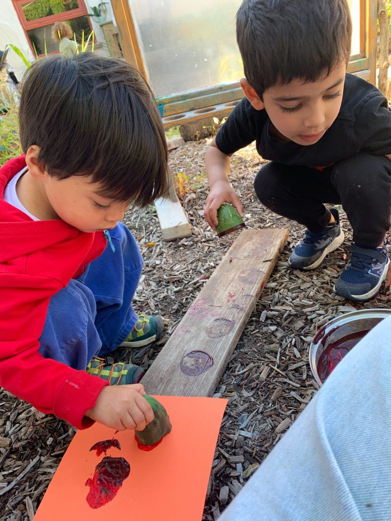 Preschool Provocation3