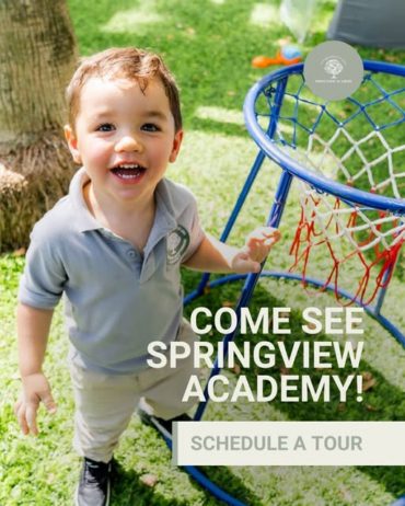 come-see-springview-academy