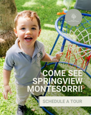 springview-montessori-academy-doral (4)