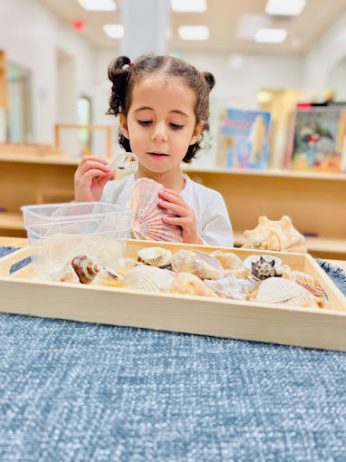 springview-montessori-academy-doral-florida (9)