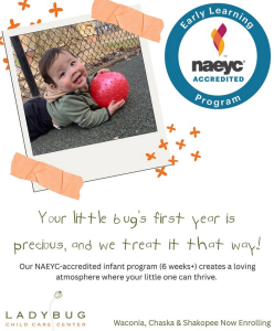 ladybug-childcare-center-graphic-1