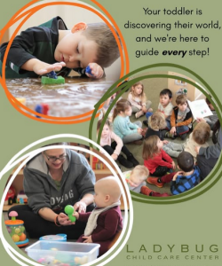 ladybug-childcare-center-graphic-8